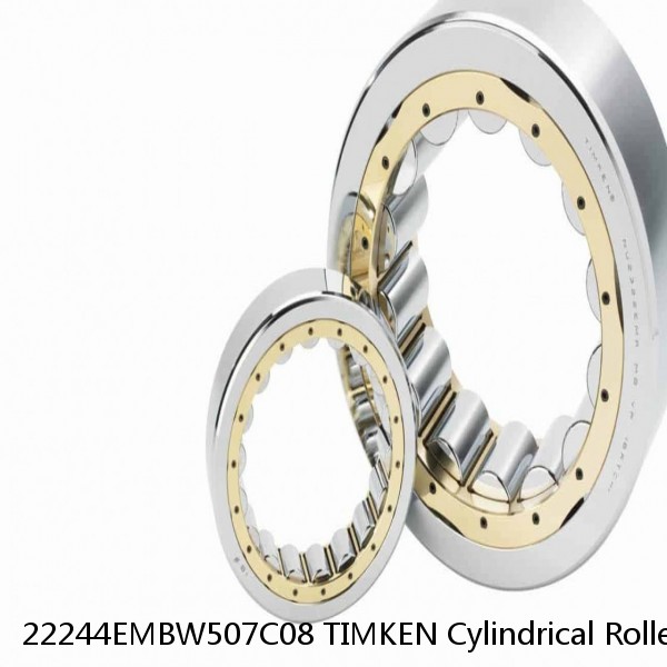 22244EMBW507C08 TIMKEN Cylindrical Roller Bearings Single Row ISO